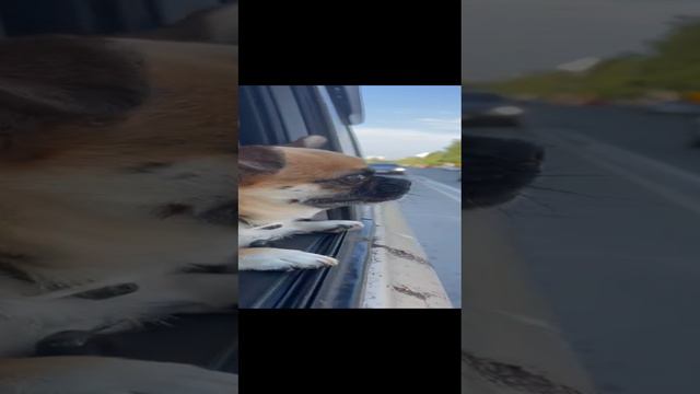 На дачу