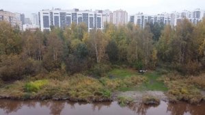 Река Глухарка. Приморский район Санкт-Петербурга