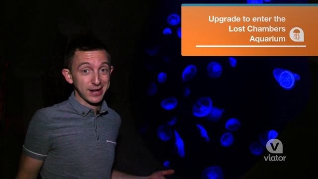 Dubai - Atlantis Aquaventure Waterpark