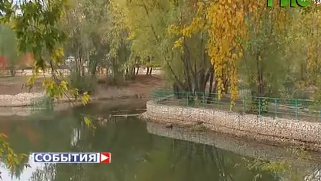 Чему быть? Дубовой роще или многоэтажным домам? Обсуждали на публичных слушаниях смотреть онлайн