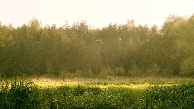 Спокойная музыка для медитации смотреть онлайн