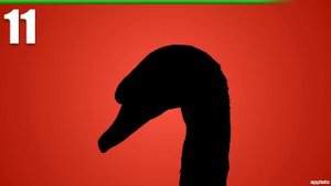 Guess the Animal Quiz #9 | Can You Guess the Animals Shadow | Animal Quiz Guessing Game