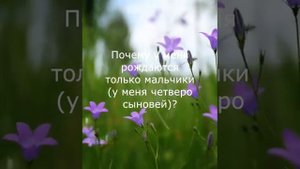 Почему у меня рождаются только мальчики (у меня четверо сыновей)?