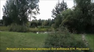 Экскурсия в питомник водных растений А. М. Марченко