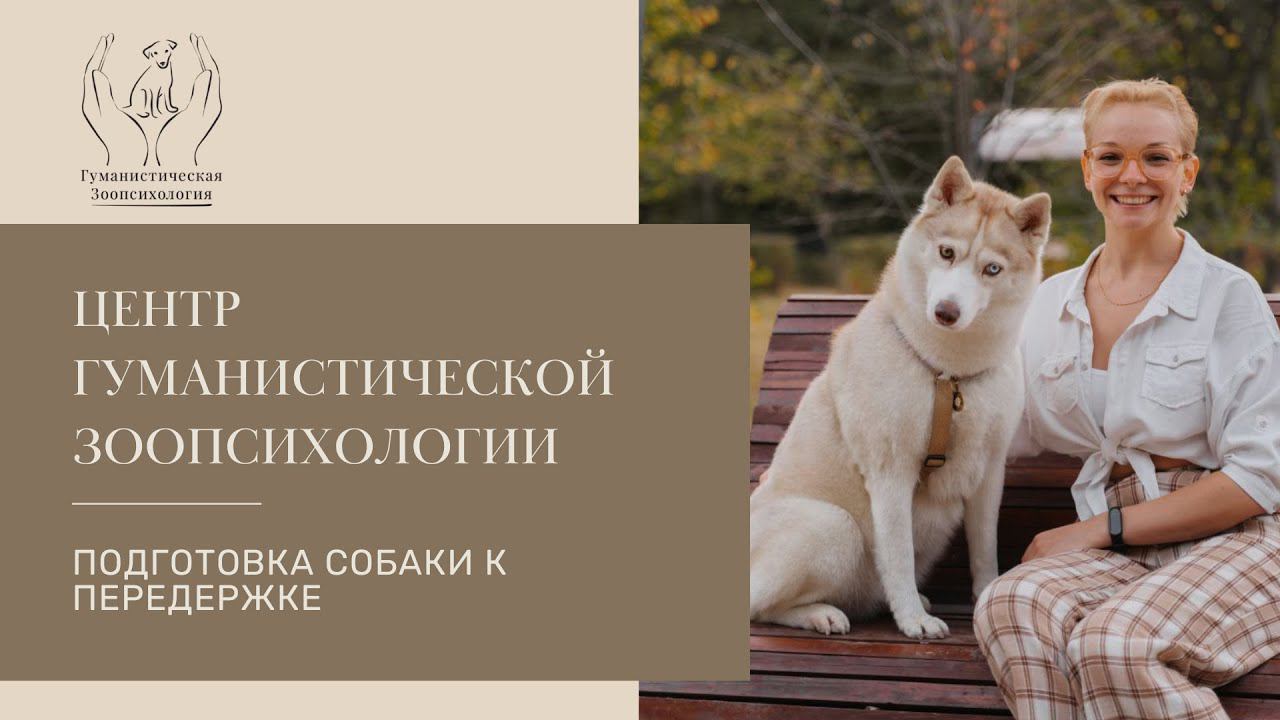 Как подготовить собаку к передержке? смотреть онлайн