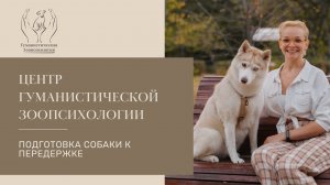 Как подготовить собаку к передержке?