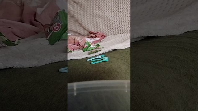 Открытее века походу юбилейка ?