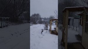 ...Весна , апрель, дача...04.04.23 г.