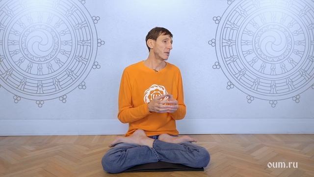 Почему люди едят мясо? смотреть онлайн