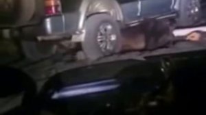 Медведь порвал машину жесть