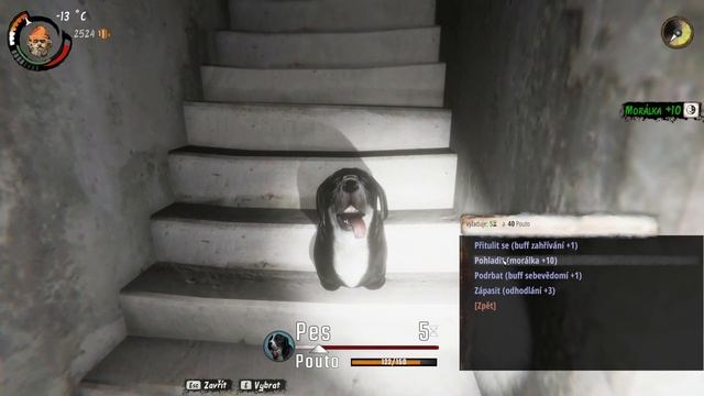 HOBO Tough Life|Procházíme satanistyckým rituálem, do kterého nás zasvětil Emil|LP Ep. 63|CZ SK смотреть онлайн