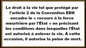 Le recours à la force meurtrière par l'État