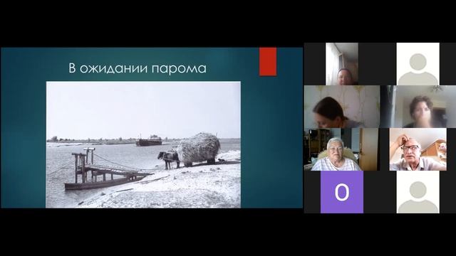 Зум-встреча о проблемах сохранения лошадей полесской популяции смотреть онлайн