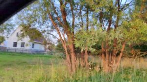 Николаевское. Касимовский р-н. Рязанская обл