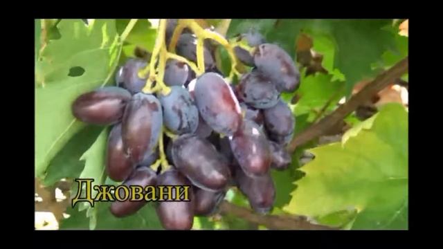 Джовани