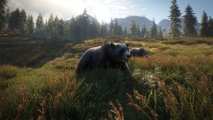 TheHunter: Call of the Wild - Охота #27. Охота со всеми ДЛС. Охота в воскресное утро