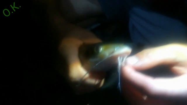 Рыбачка Оля в Зеленодольске ? смотреть онлайн