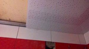 Как быстро и дешево закрепить вагонку