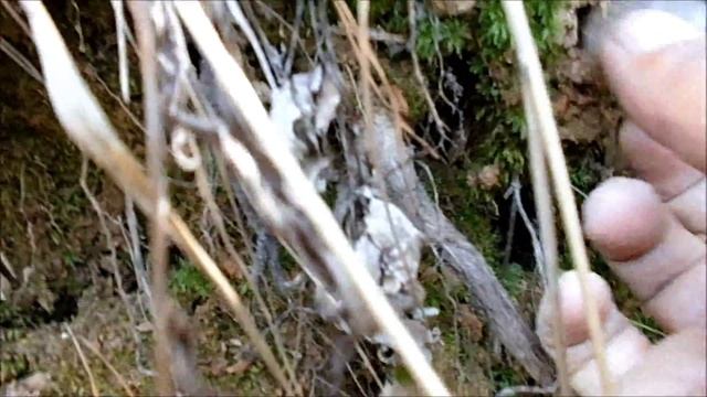 Ищем горный хрусталь. Путешествие по Башкирии. Journey To Bashkortostan.