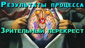 Результаты процесса на Зрительный перекрест