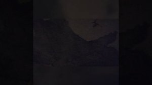 Эмиграция в Египет. Жизнь в Египте. День 13. Переезд в Египет. Хургада.