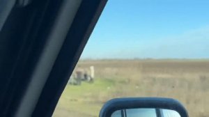 Мы снова в пути. Олег Зубков везет корма и помощь зоопарку!