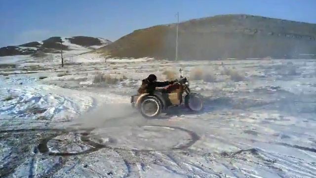 олень Коля ездить не умеет) смотреть онлайн