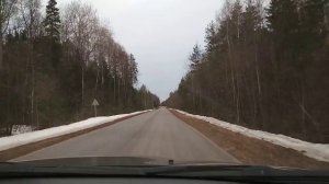 Вырубка леса около деревни Халино