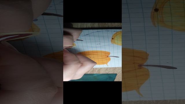 Бумажная вселенная.Новое видео ?