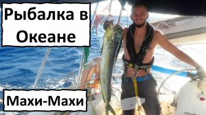 Рыбалка в океане. Махи-Махи