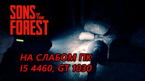 Sons of the Forest на слабом пк (GT 1030)