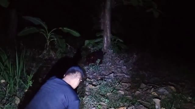 ?G4NCET MANUSIA & IBL!S смотреть онлайн