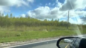 Лухский район Ивановская область