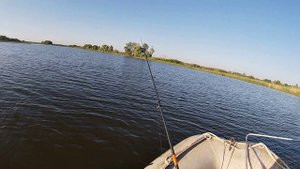 Открытие сезона по ловле хищника с лодки. Ночь проведенная на воде.