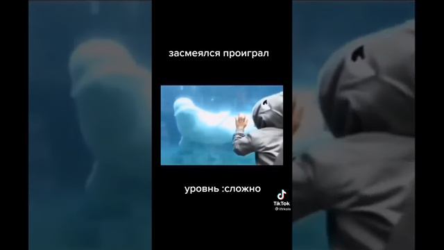 ПОПРОБУЙ НЕ ЗАСМЕЯТЬСЯ #1 Уровень: СЛОЖНО