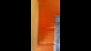 riparazione vaporella polti super pro