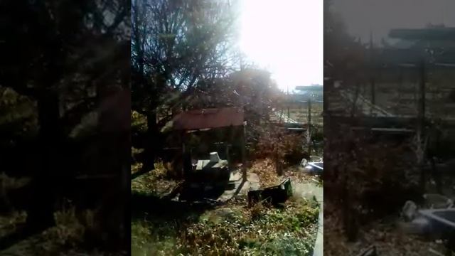 Дачи " Пичуга ", Волгоградская область. смотреть онлайн