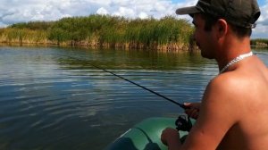 РЫБАЛКА НА КРУЖКИ / Щука на ЖИВЦА / БЕШЕНЫЙ КЛЕВ ЩУКИ.