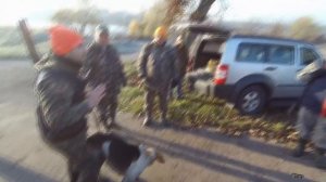 Отличная хота на лису 2018!!!! Охота с гончей и ягдтерьером!!!! Fox hunting 2018.