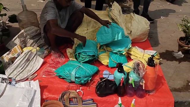 Best Plant Market Kolkata Galiff Street Price Update in the Month of June смотреть онлайн