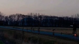 Zero 11X (TechlifeX9) Powerful Best Electric Scooter