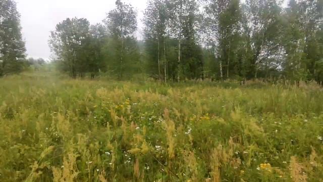 Цена 230 тыс.руб. Тел.8967-041-75-24.Продам зем.участок 21 сотка в с.Пустоша г.Шатура Московская об