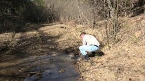 По лесной тропе в апреле. Белорецк. Башкортостан.
