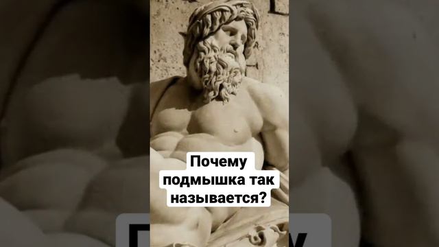 Почему ПОДМЫШКА так называется?