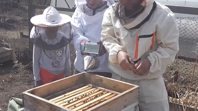 Достраиваю голубятню и занимаюсь пчелами. смотреть онлайн