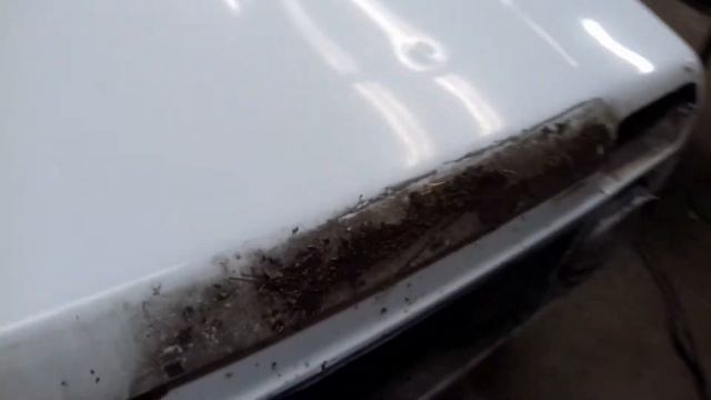 бабушка сказала покрасьте всю машину. Нива 21213 полняк смотреть онлайн