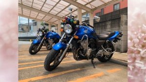 Экзамен на получение права управления мотоциклом в Японии