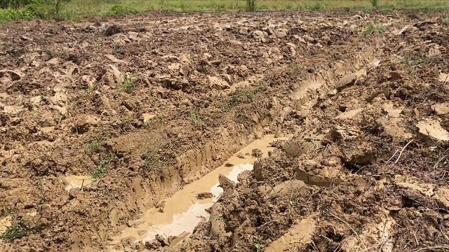 Mud Field Hard Ploughing, Tractor BELARUS MTZ 820, Agriculture Machine 2020,ត្រាក់ទ័រសូវវៀតប៉ុងត្រង