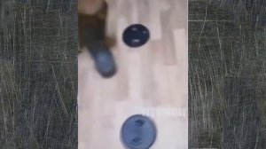Это россия детка