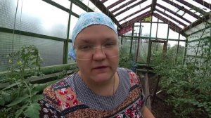 Что приготовить из ревеня?